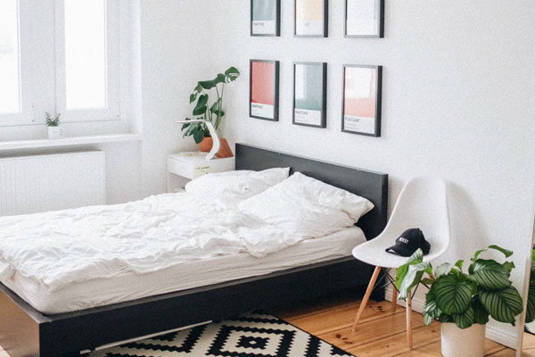 Cruises Deals Room 5